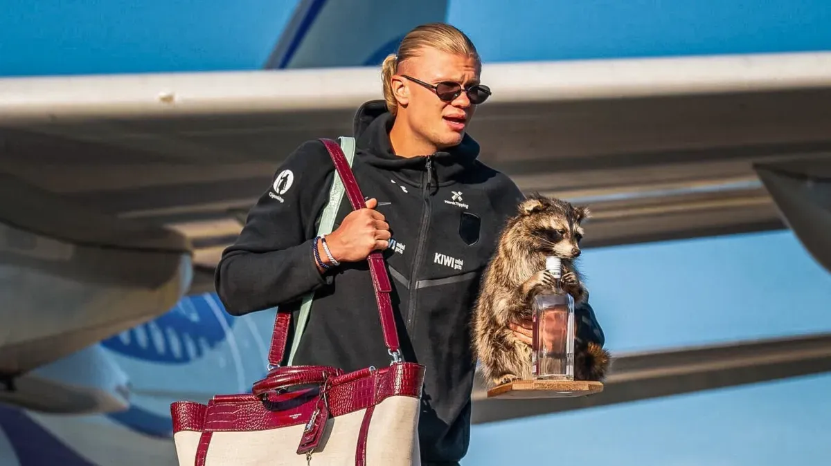 Guaxinim de Haaland: o que é taxidermia, técnica usada em animal do jogador