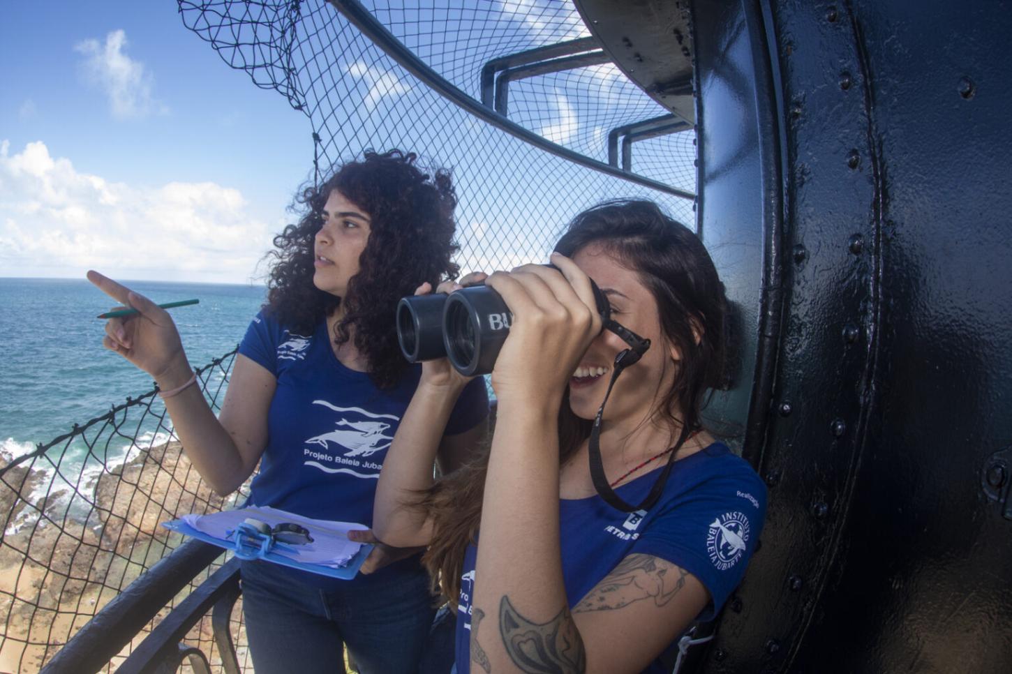 Temporada de observação de baleias jubarte começa nesta quarta (15) em Salvador com ponto no Farol da Barra