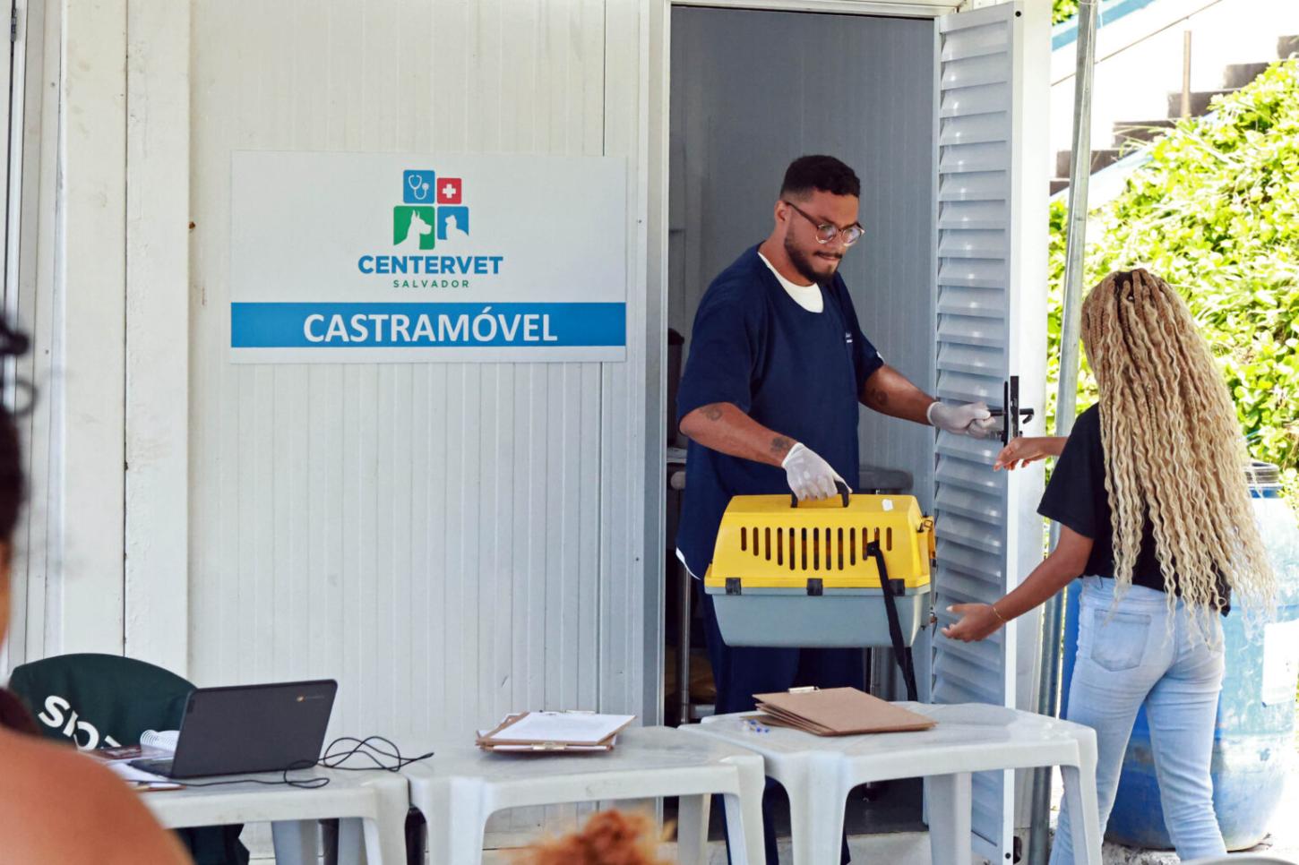 Castramóvel realiza castração de cães e gatos no Quartel de Amaralina