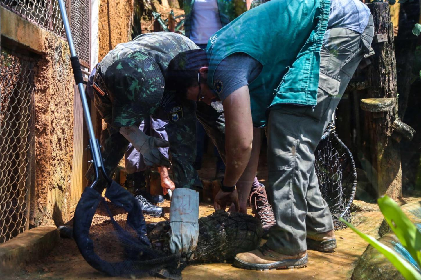 Guarda Municipal, Ibama, Inema e Ufba lançam projeto “Jornada da Fauna Silvestre” no Subúrbio