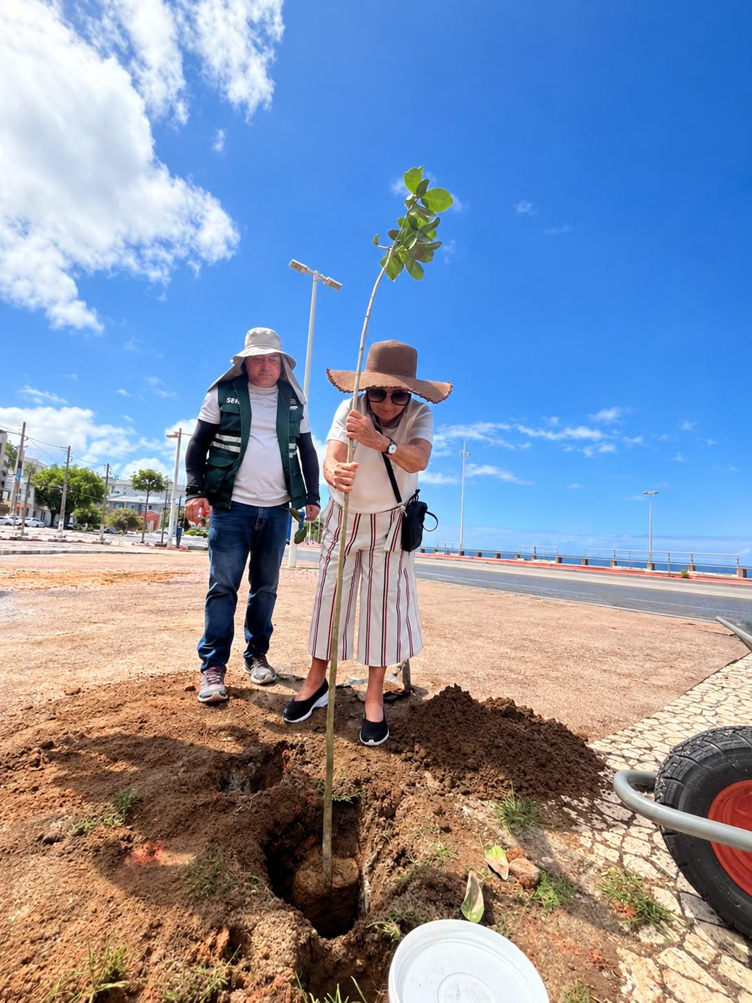 Prefeitura planta 22 árvores na orla de Ondina a pedido de moradores