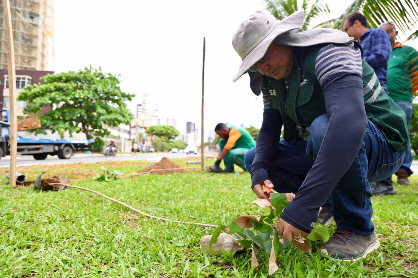 Prefeitura realiza plantio de 100 mudas na Avenida Magalhães Neto